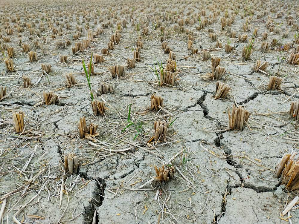 Gli eventi meteo estremi costano già 28 miliardi di euro l’anno agli agricoltori europei